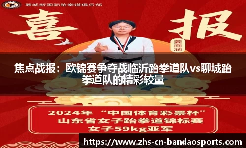 焦点战报：欧锦赛争夺战临沂跆拳道队vs聊城跆拳道队的精彩较量